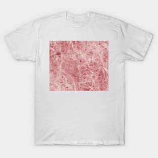 Rosa hexagons T-Shirt